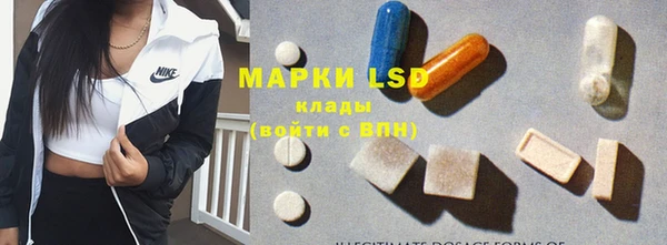 шишки Аркадак