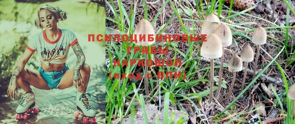 a pvp Алексин